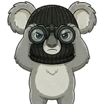 Koala Spy with Binoculars